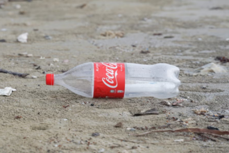 coca-cola foundation