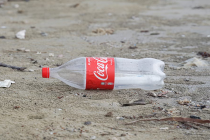 coca-cola foundation