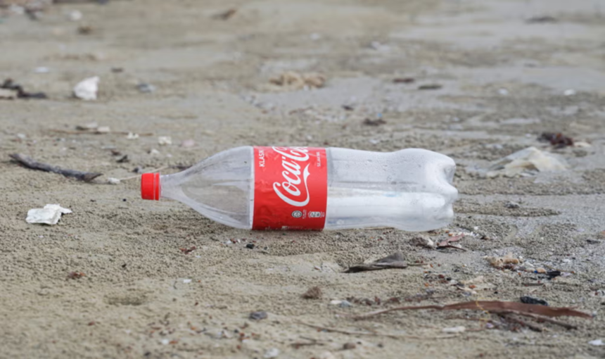 coca-cola foundation